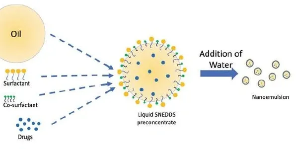 Illustration of self‑nanoemulsifying drug delivery system (SNEDDS) improving dissolution and absorption.